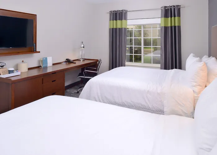 Hotel Four Points By Sheraton O'hare