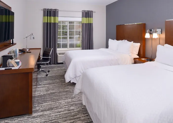 Hotel Four Points By Sheraton O'hare 3*