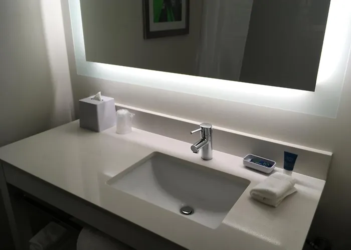 Hotel Four Points By Sheraton O'hare 3*